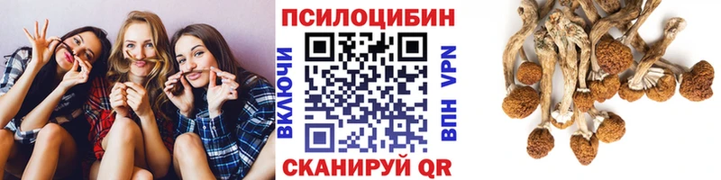 Псилоцибиновые грибы мицелий  Калтан 